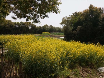 2018最新上海住房公积金个人贷款政策