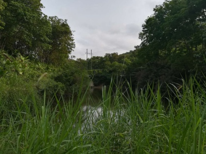 2017年海南休闲农业与乡村旅游发展方向及规