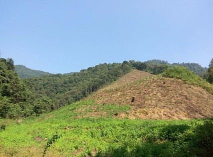 吉安万安县2018年度城乡居民基本医疗保险普