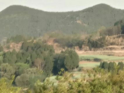 关于《盐亭县2018年扶贫保工作实施方案》的