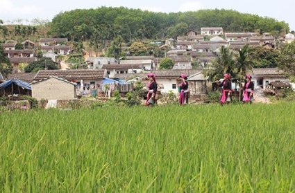 2018年海南省宅基地新政:决不允许在农村搞变