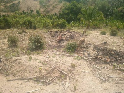 2017三亚市国有土地作价出资管理暂行办法