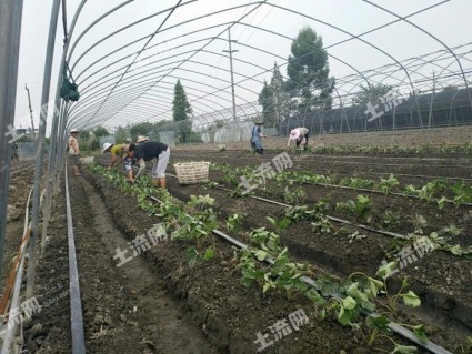 2017年四川省商业性个人住房贷款最低首付款