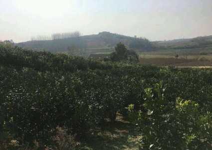 2018湖北宜昌城乡低保标准:农村低保5280-60