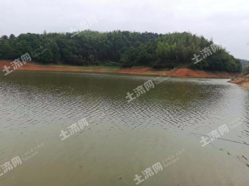 株洲株洲县400亩水库转让