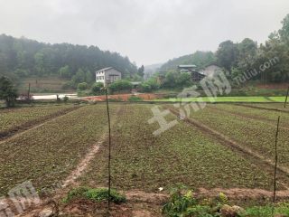 重庆渝北区240亩已整治宜机化土地招商