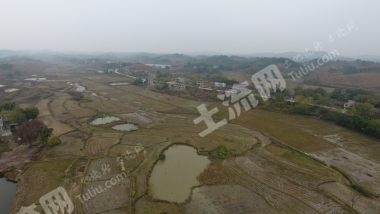 永州冷水滩区200亩水浇地出租