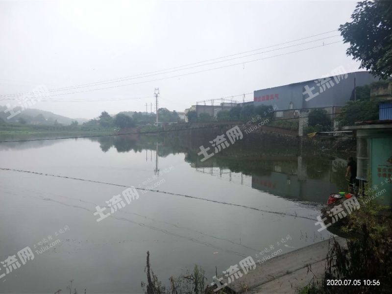 重庆沙坪坝区歌乐山上20亩鱼塘转让