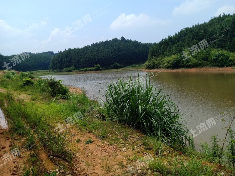 抚州临川区30亩水库出租