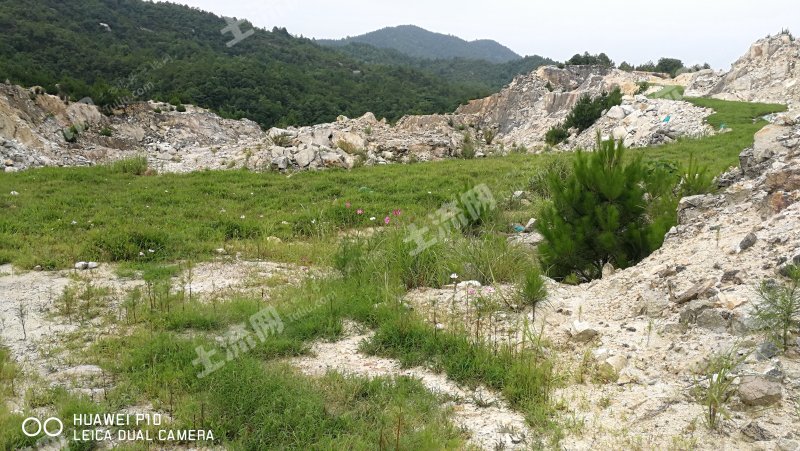 赣州章贡区500亩0高岭土矿转让