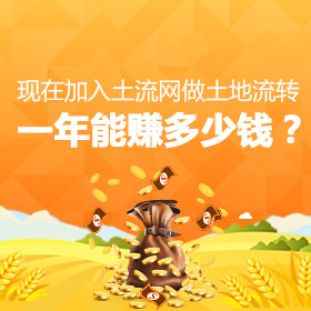 土地改革暴富机会