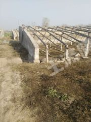 新乡市北环附近6亩菜园（大棚及设施）经营权出租XX710