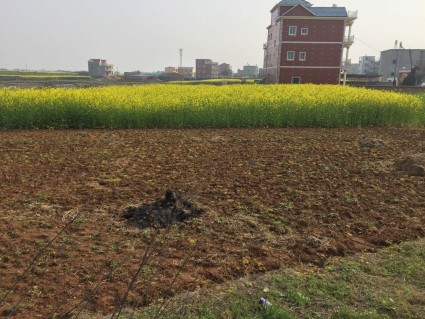 赣州崇义县农村宅基地建房法律规定和报批程序