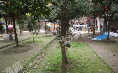 温江凤溪大道附近2.4亩农家小院使用权出租