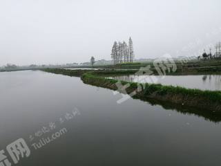岳阳  湘阴县 15亩 坑塘 经营权出租