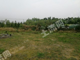 岳阳连接线 720平米 宅基地 使用权出租