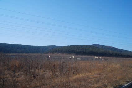 辽宁省人民政府关于推进农业供给侧结构性改革