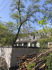 石家莊平山縣130平米宅基地使用權(quán)出租ps102