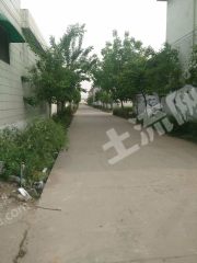 新乡县七里营镇240平米宅基地使用权出租XX766