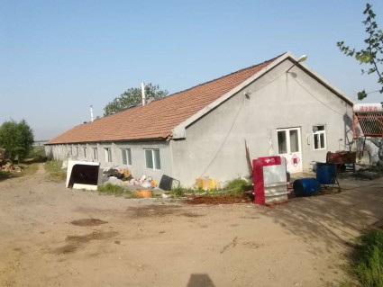 山东省农业大灾保险试点工作方案 鲁农种植字