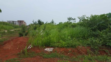 2018年江西省完善产权保护制度依法保护产权