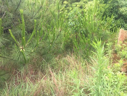 2018年江西省完善产权保护制度依法保护产权