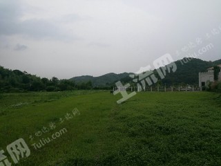 岳阳云溪区宅基地使用权出租