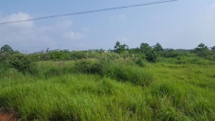 2018年江西余江推进宅基地制度改革三项机制