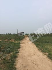 新乡市新乡县60余亩林地长期经营权出租或转让XX796