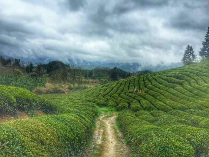 九江市永修县GDP2020_九江市永修县袁英琴(2)