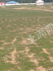 赤峰巴林右旗 2664平米 宅基地 使用權(quán)出租