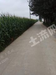 长垣县满村乡5.2亩水浇地经营权出租XX809