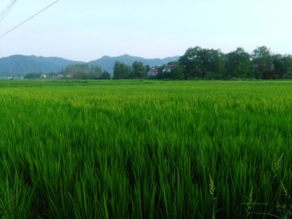 c2643d47-5e74-ad35-ff09-8d501204a6f4.jpg@320h_425w