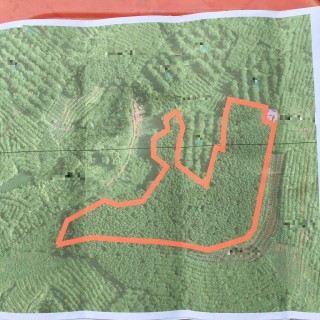 2017年海南休闲农业与乡村旅游发展方向及规