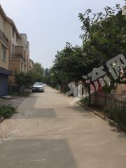 平原示范区居住小区别墅使用权出租XX821