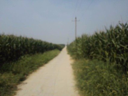 19efcfe4-1022-dc85-7a92-c7d18205b978.jpg@320h_425w