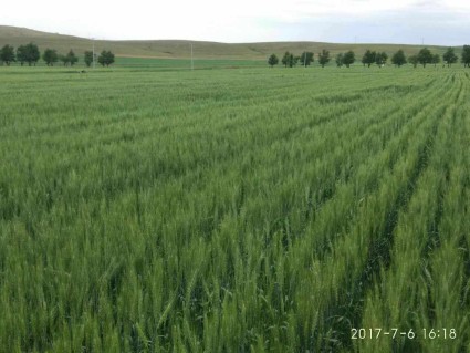 2018年乌兰察布市集宁地区保障房申请标准提