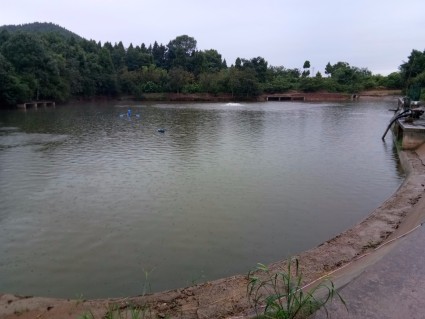 四川省支持推进秸秆综合利用政策措施:增值税