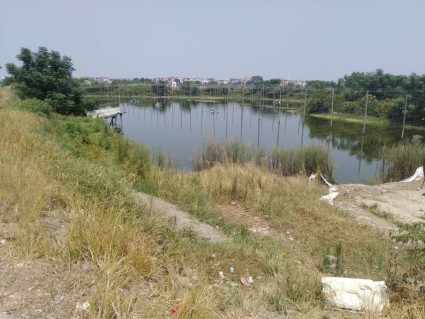 漳州龙海市埭新村40亩坑塘出租