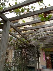 新乡市平原示范区黄河桥头小区精装别墅使用权出租XX839