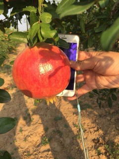 2018年不动产登记收费吗?收费标准是怎样的?