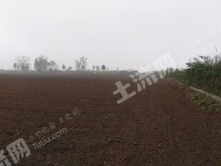 宝鸡扶风县 20亩 水浇地 经营权出租