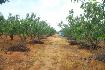 大连市农村产业扶贫发展规划(2017-2020年)