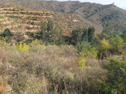 2017年河北省启用房产税、城镇土地使用税纳