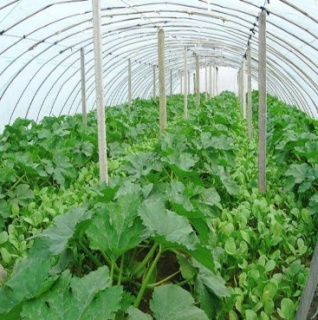 2018年安徽合肥二手房过户税费怎么算?(附收