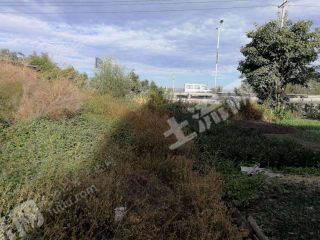 云南大理533.4平米宅基地使用權(quán)出租