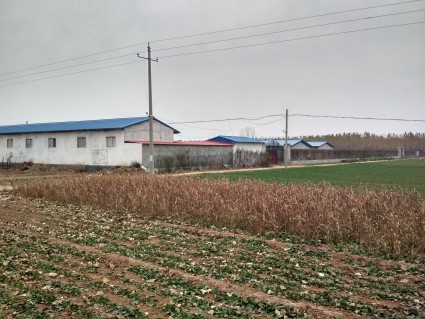 《魏县划拨国有土地上房屋转让缴纳土地收益的