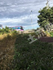 大理古城附近 500平米宅基地 使用權(quán)出租