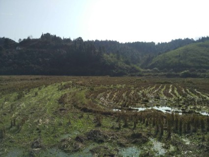 2018年浏阳市土地改革试点推新政策:宅基地可