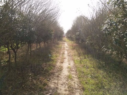 《安徽省土地增值税清算管理办法》全文